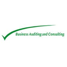logo-BUSINESS AUDITING AND CONSULTING