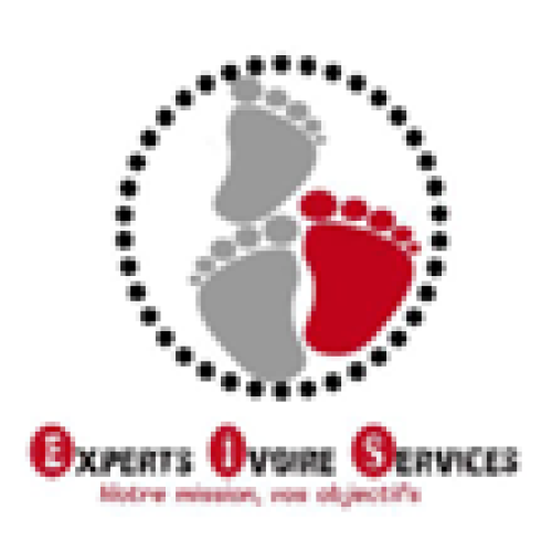 logo-EXPERTS IVOIRE SERVICES