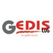 logo-GEDIS-LUB
